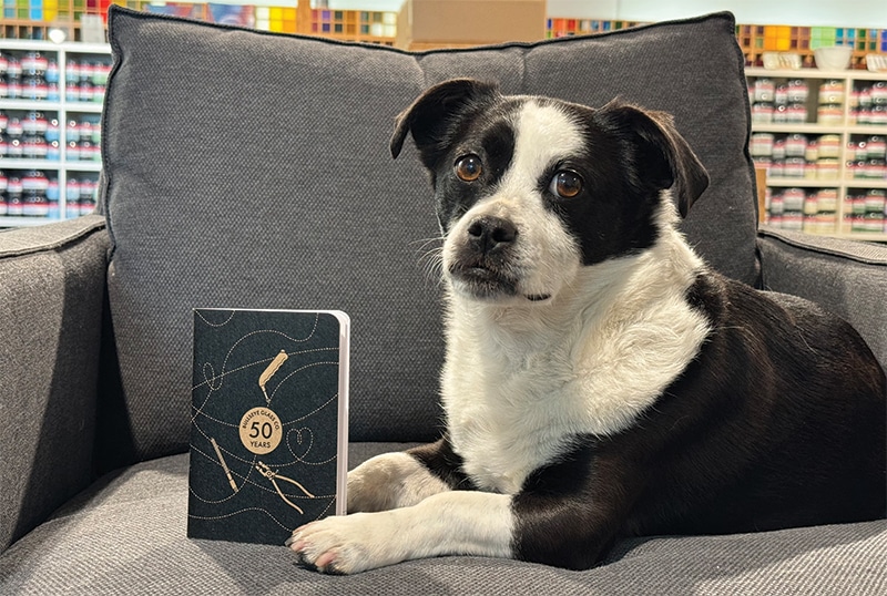 Cute dog with Bullseye coupon book