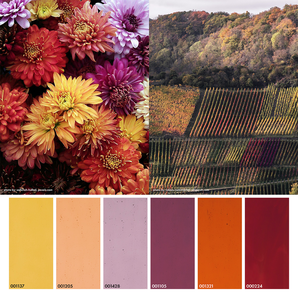 fall palette
